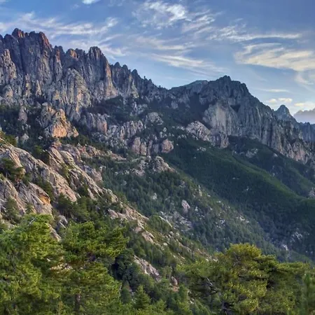 Renove Confort 10mn De Campomoro Lägenhet