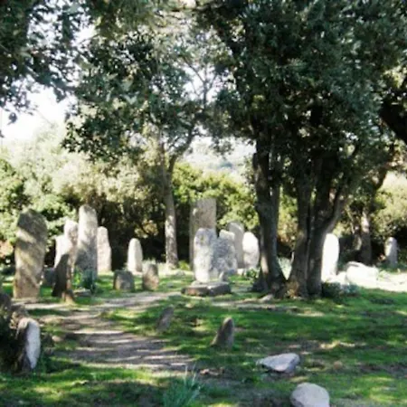 Renove Confort 10mn De Campomoro Lägenhet *