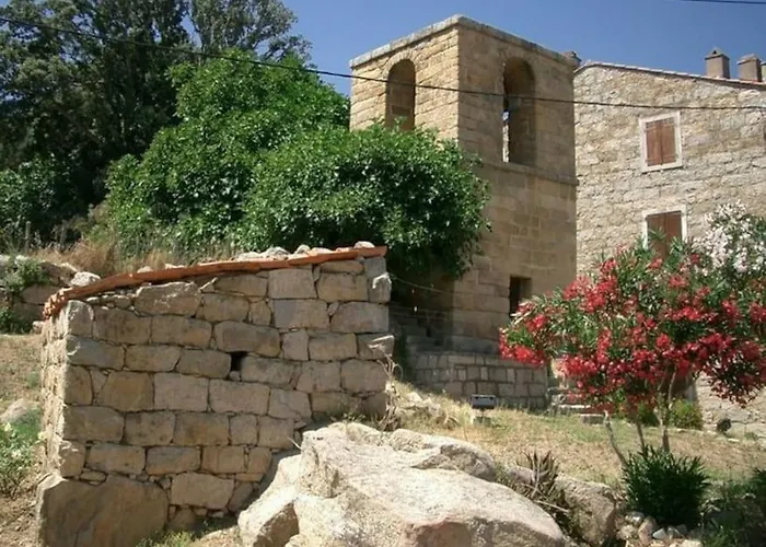 Renove Confort 10mn De Campomoro