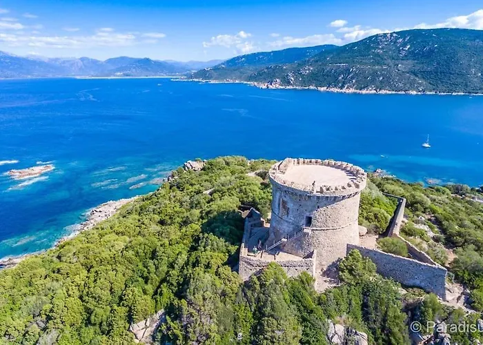 Renove Confort 10mn De Campomoro Appartement *