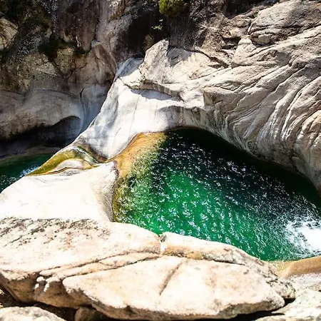 Renove Confort 10mn De Campomoro Grossa