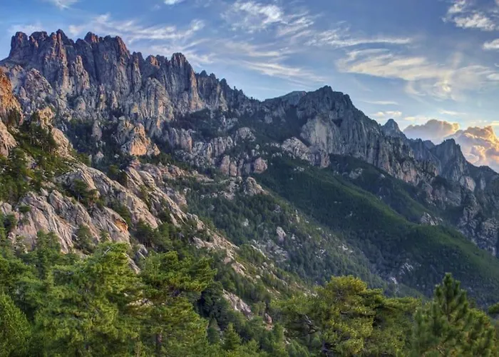 Rénové Confort 10mn De Campomoro Appartement