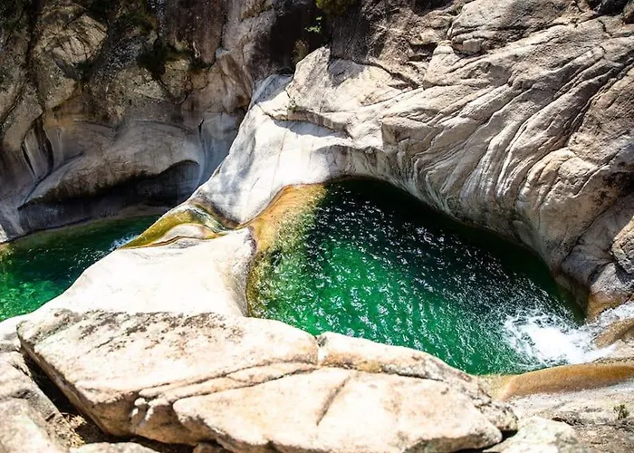 Rénové Confort 10mn De Campomoro Grossa