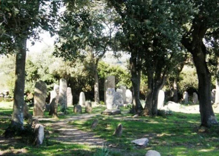 Rénové Confort 10mn De Campomoro Appartement *